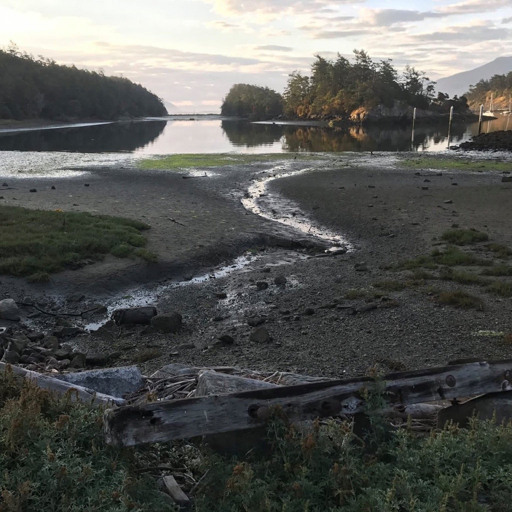 Rock Picking in Washington by Erika Vossbeck