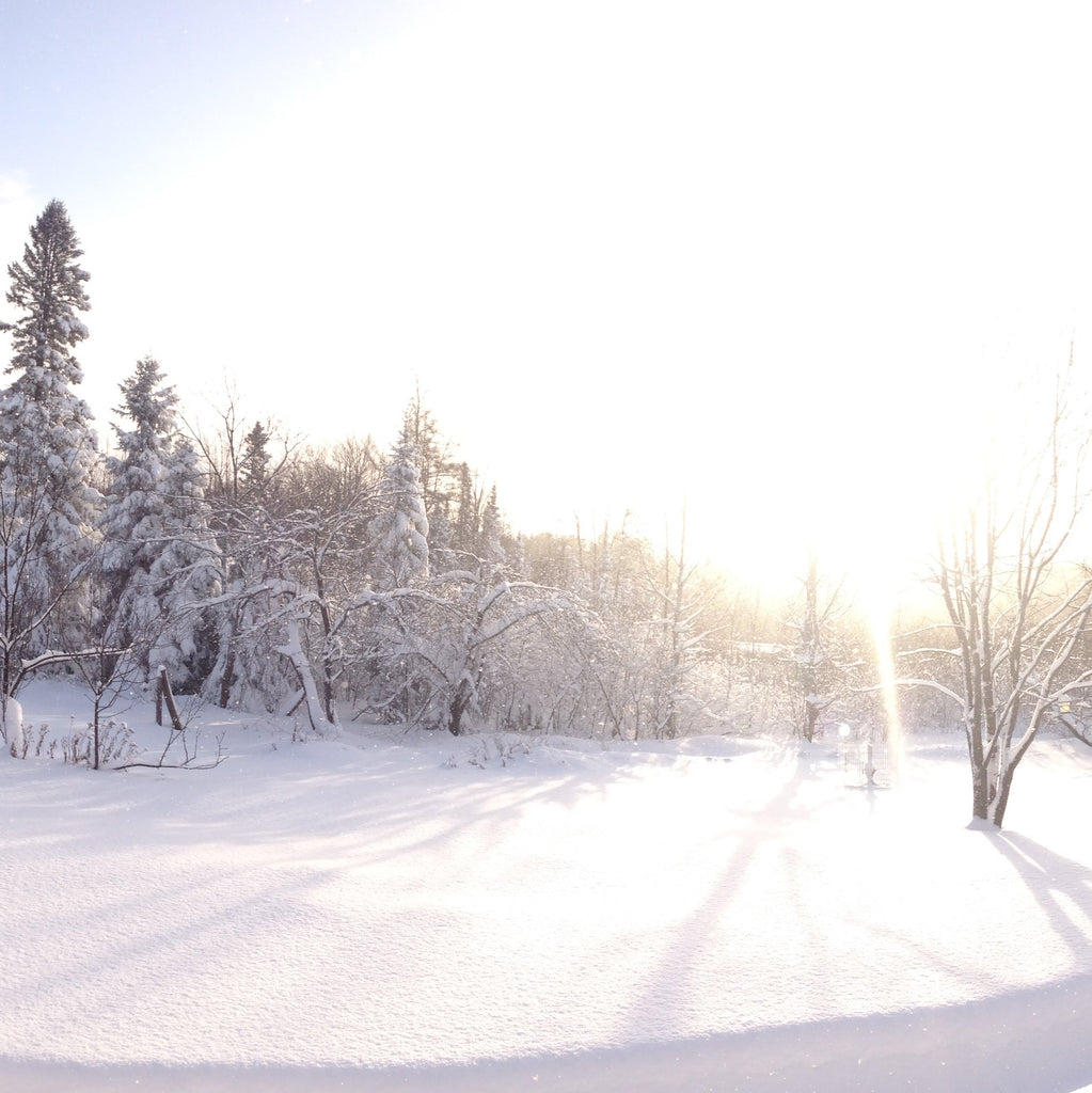 Silver Skis & White Snow by Ambassador Nora Jungwirth