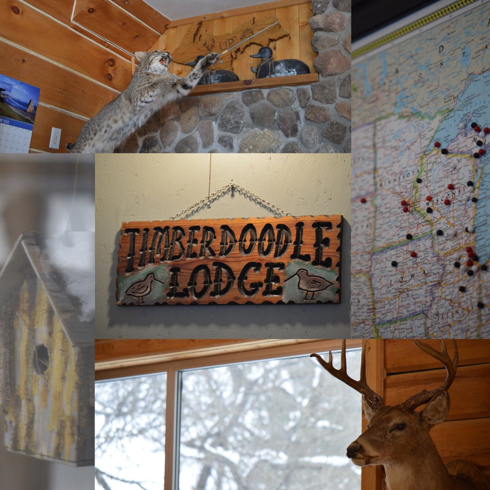 Staff Retreat to Timberdoodle Lodge