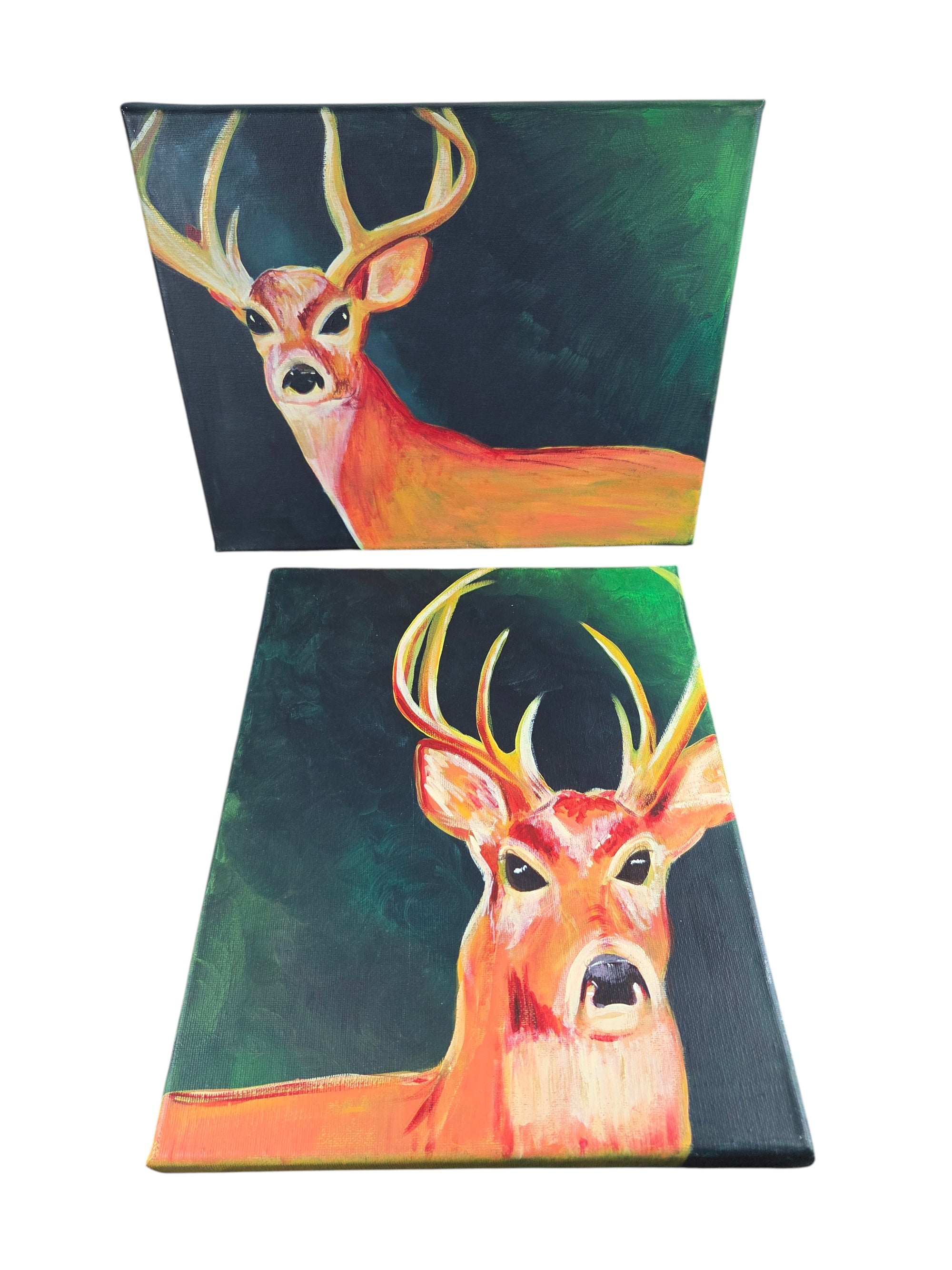 Dawn Buck Paintings by Beth Millner - Artisan Goods  Vertical Painting  Horizontal Painting Paintings12-1 - handmade by Beth Millner Jewelry