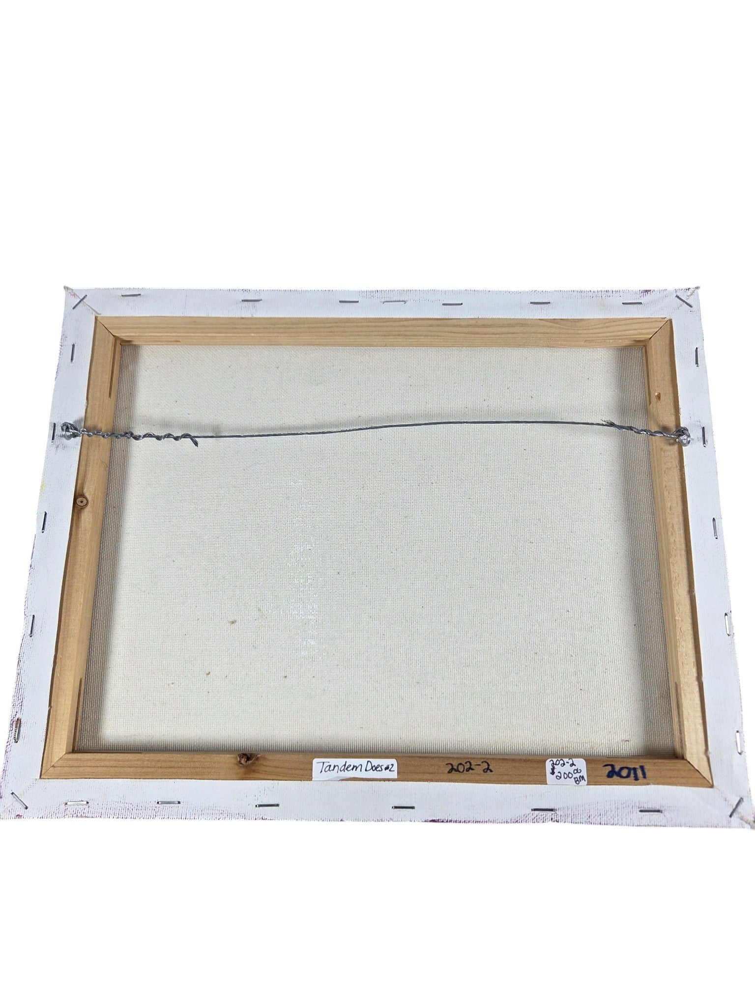 Tandem Does Painting 11