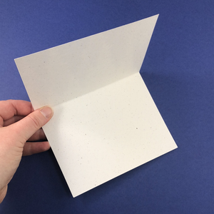 6 Pack Winter Cardinal Greeting Cards - Tree Planted with Purchase - Artisan Goods   6673 - handmade by Beth Millner Jewelry