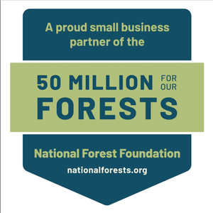 6 Pack Winter Cardinal Greeting Cards - Tree Planted with Purchase - Artisan Goods   6673 - handmade by Beth Millner Jewelry