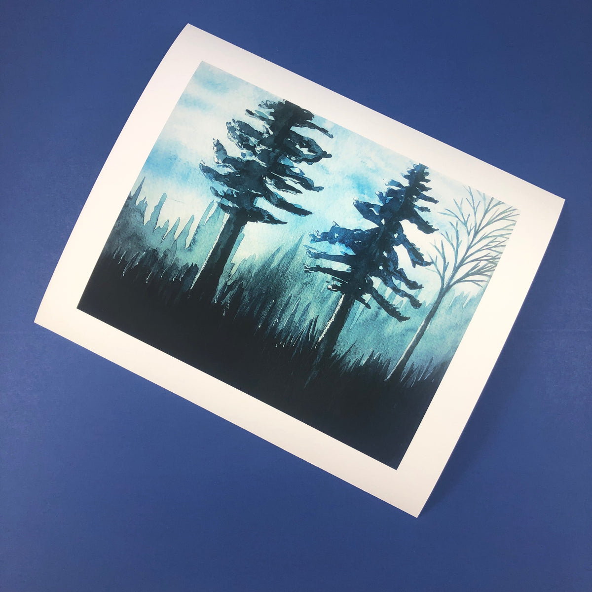Evening Evergreens Artist Print - Tree Planted with Purchase - Artisan Goods   6682 - handmade by Beth Millner Jewelry
