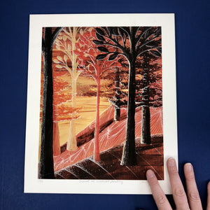 Sunset at Wetmore Landing Artist Print - Tree Planting with Purchase - Artisan Goods   5523 - handmade by Beth Millner Jewelry